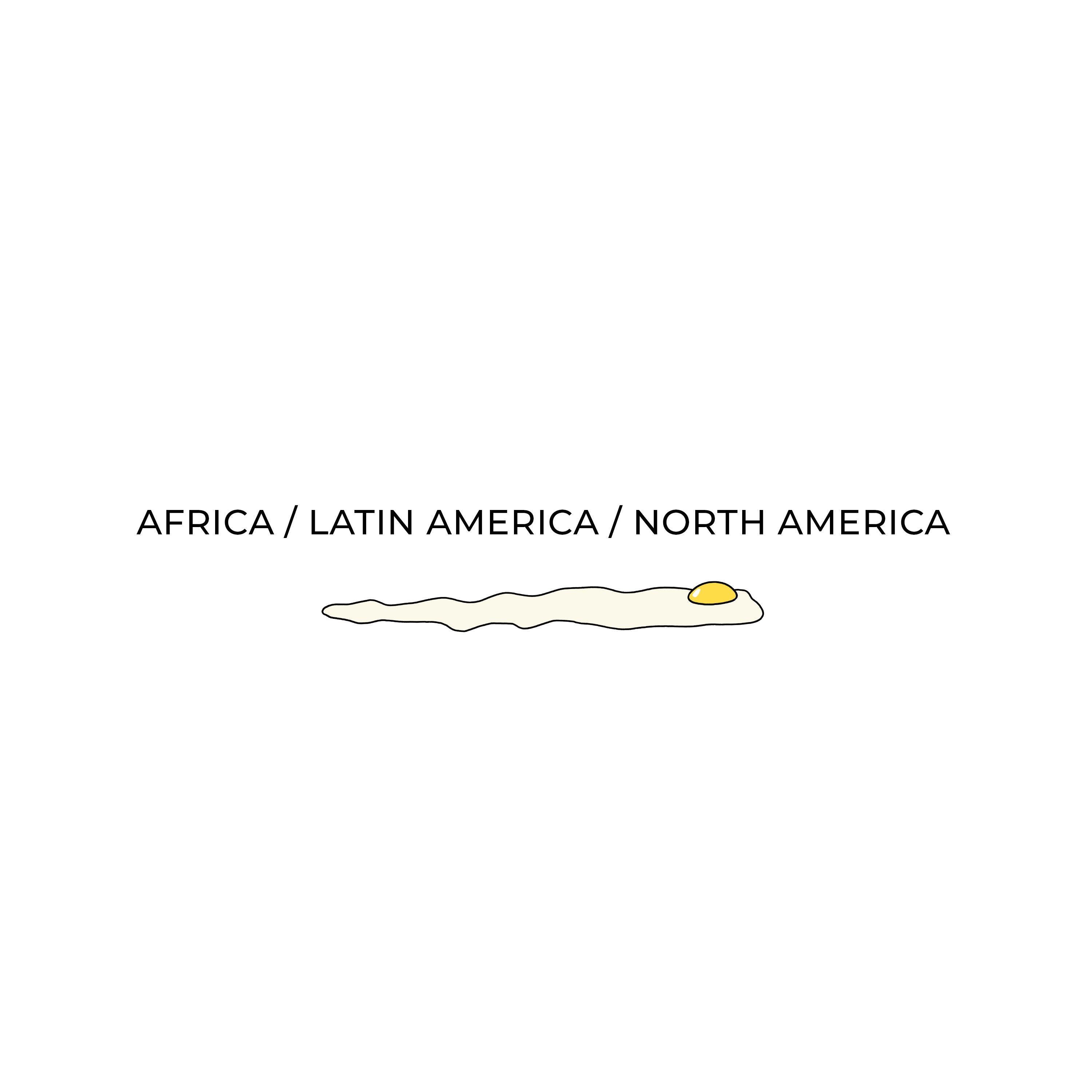 LATIN AMERICA / CANADA & U.S.