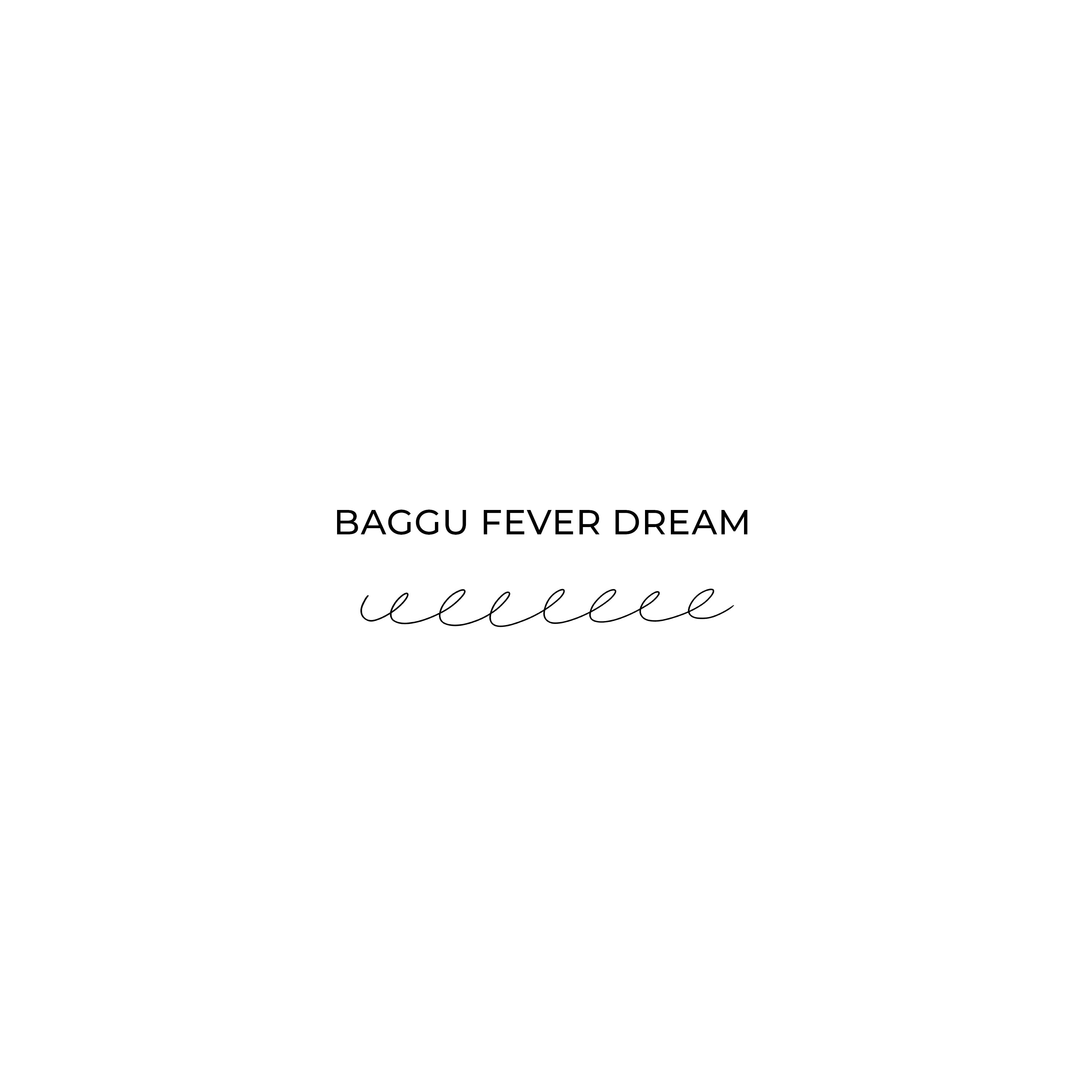 A Baggu Fever Dream