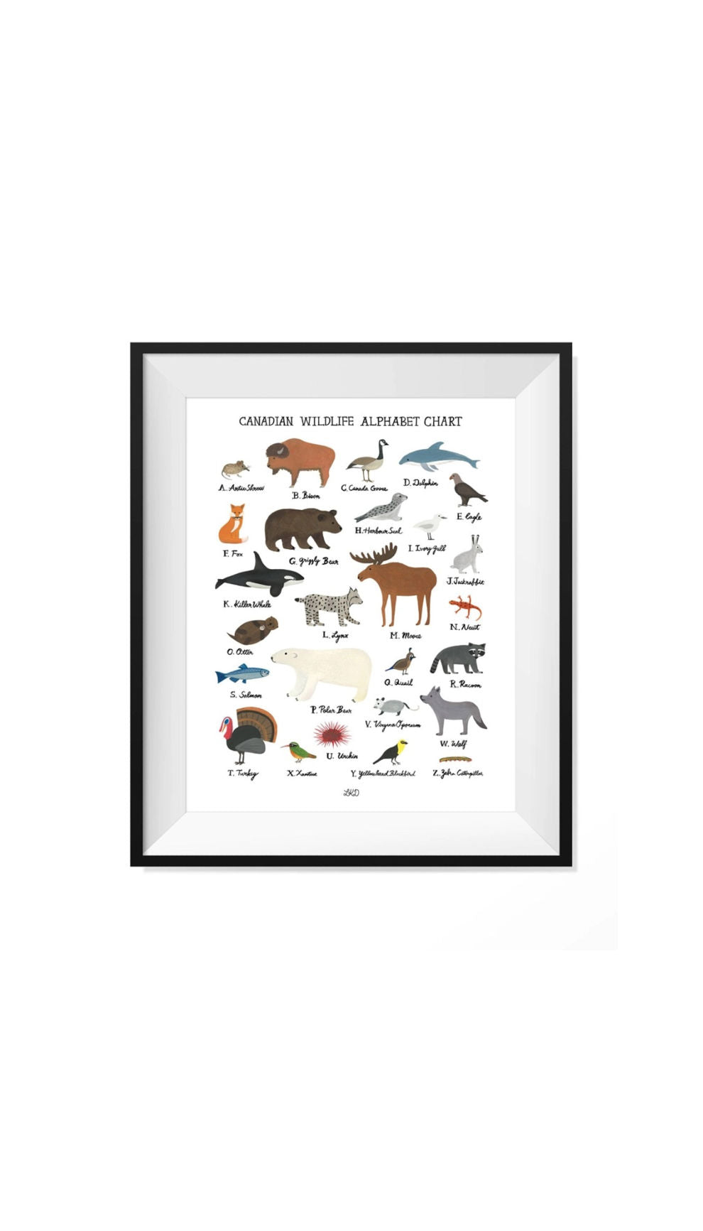 Canadian Wildlife Alphabet Chart Good Egg