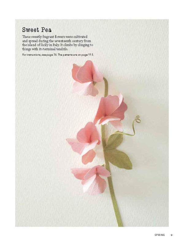 Beginner's Guide to Paper Wildflowers