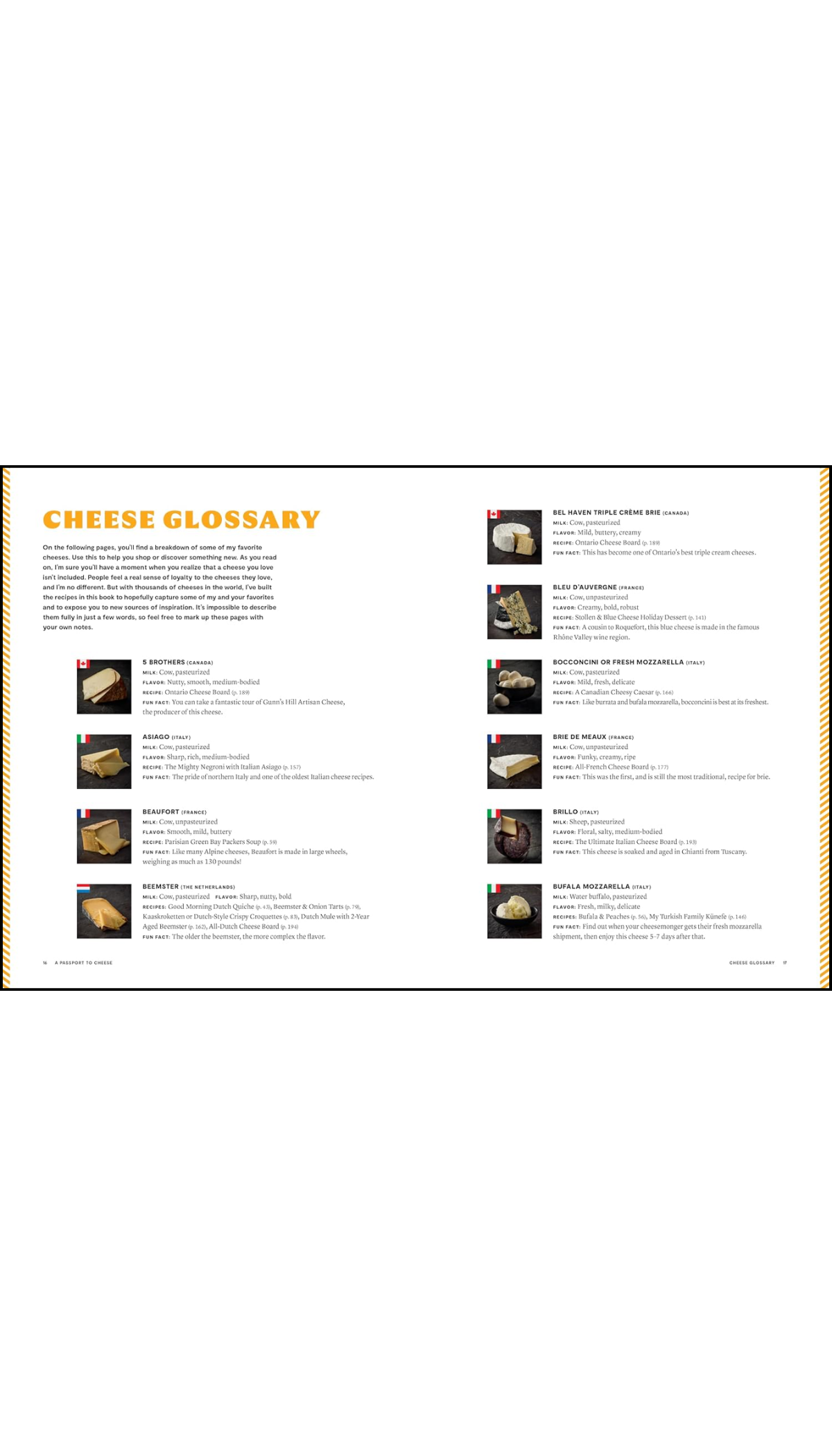 A Passport to Cheese / COMING NOV. 3RD!