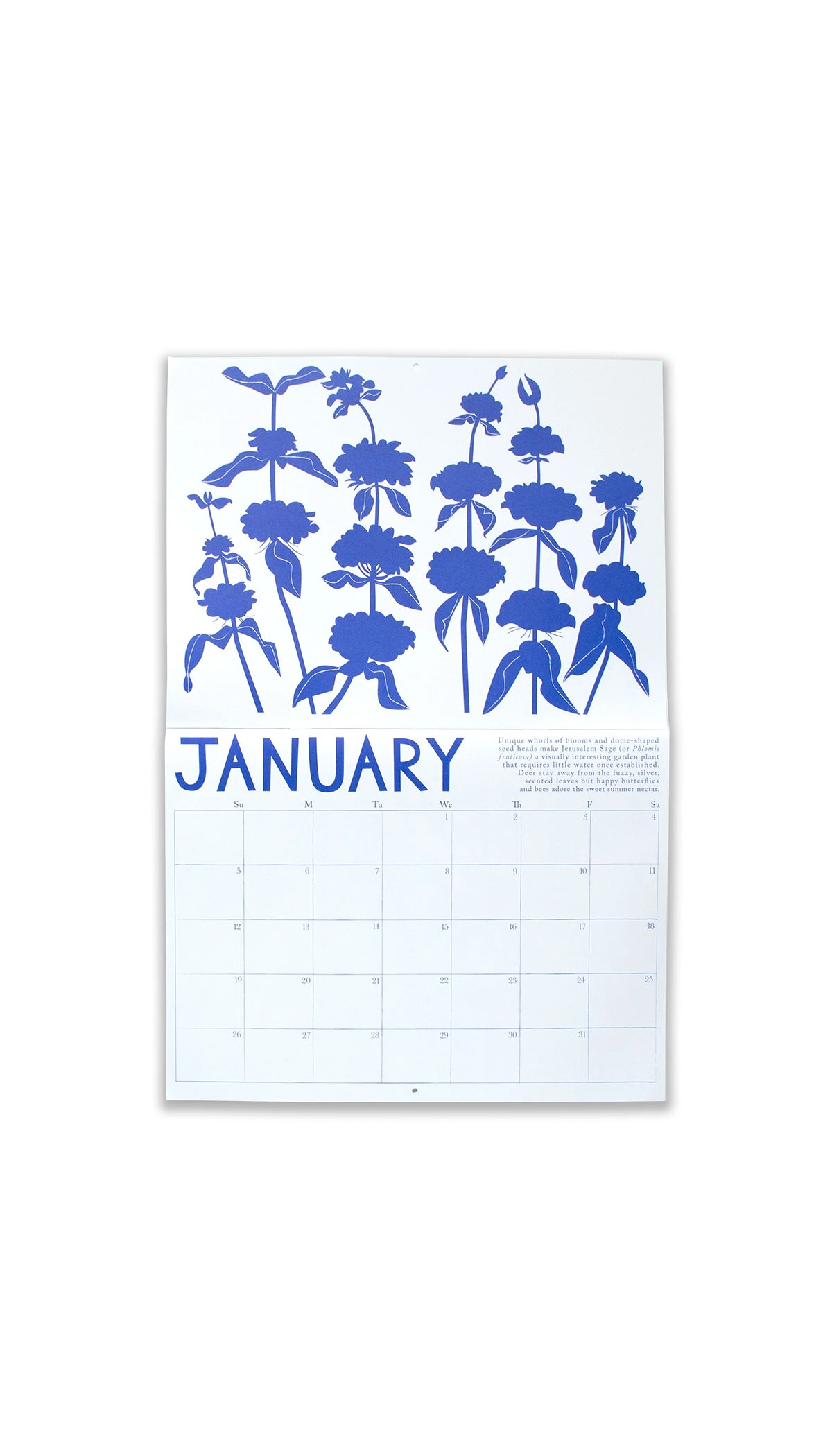 2025 Calendar Drought Tolerant Plants