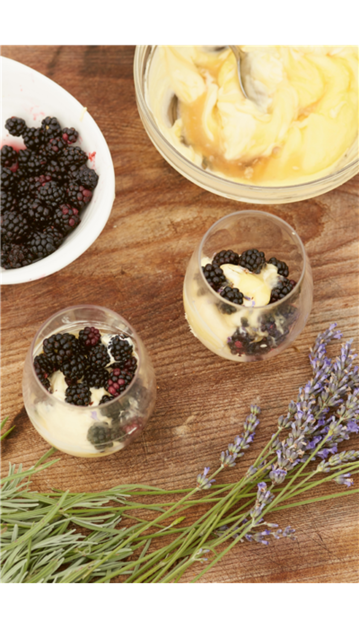 Bees & Honey: River Cottage Handbook No.19
