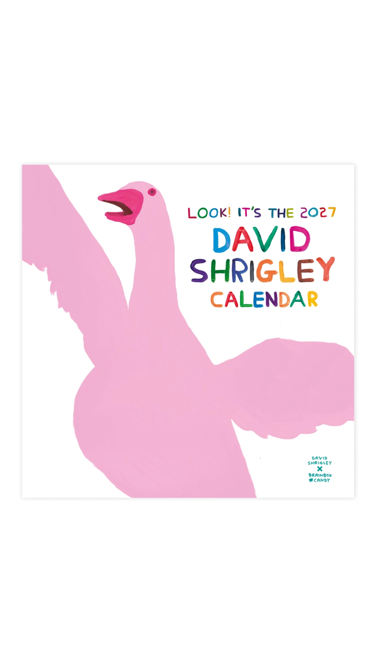 David Shrigley 2027 Calendar
