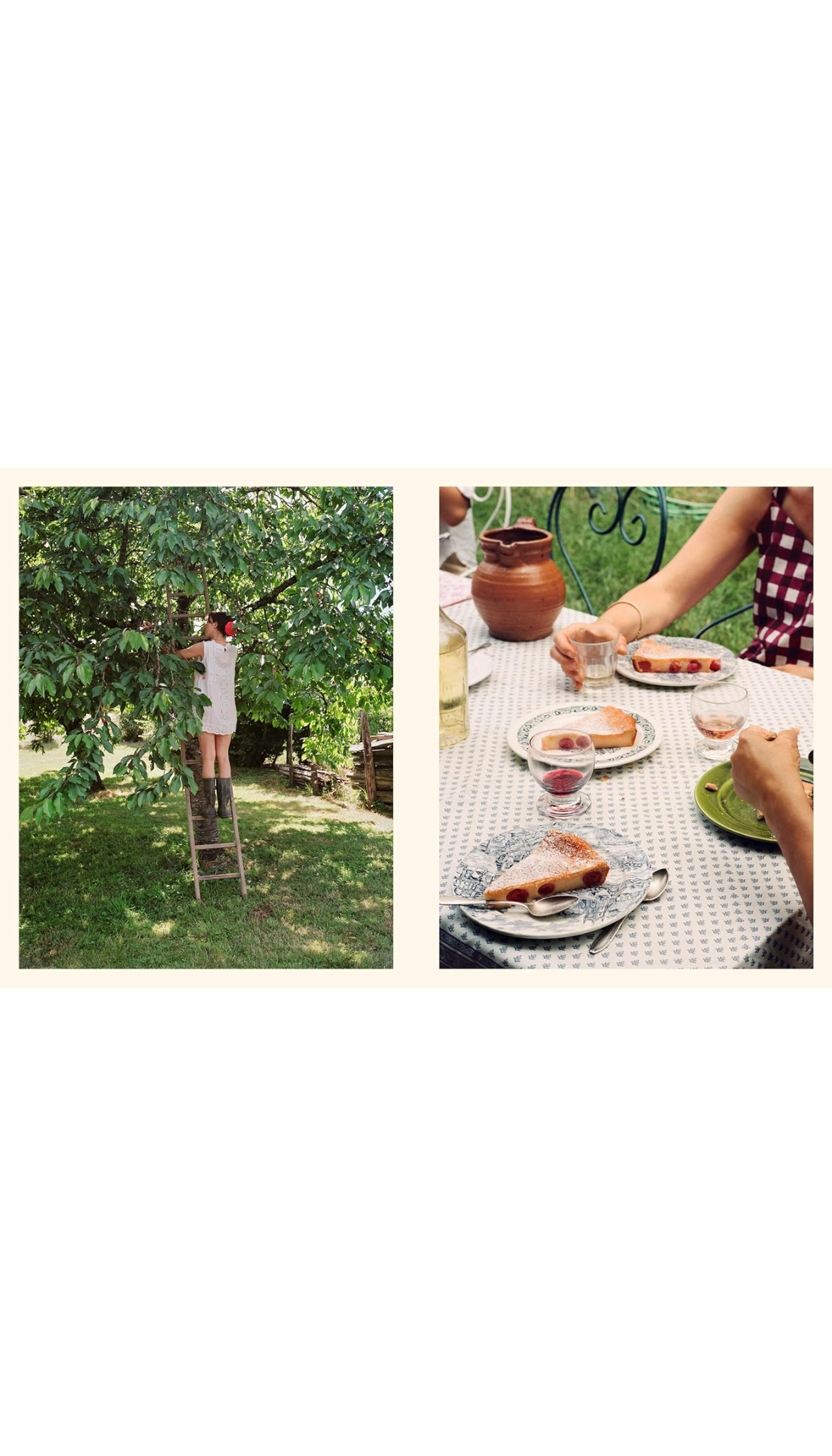 Cake From Lucie / COMING APR. 14TH!