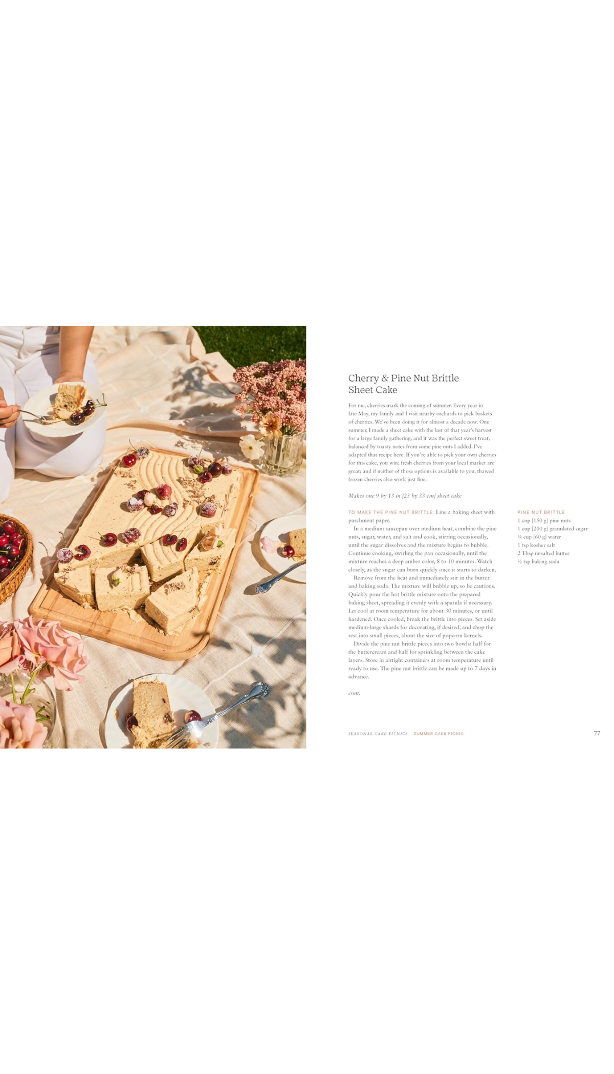 Cake Picnic / COMING MAY 19TH