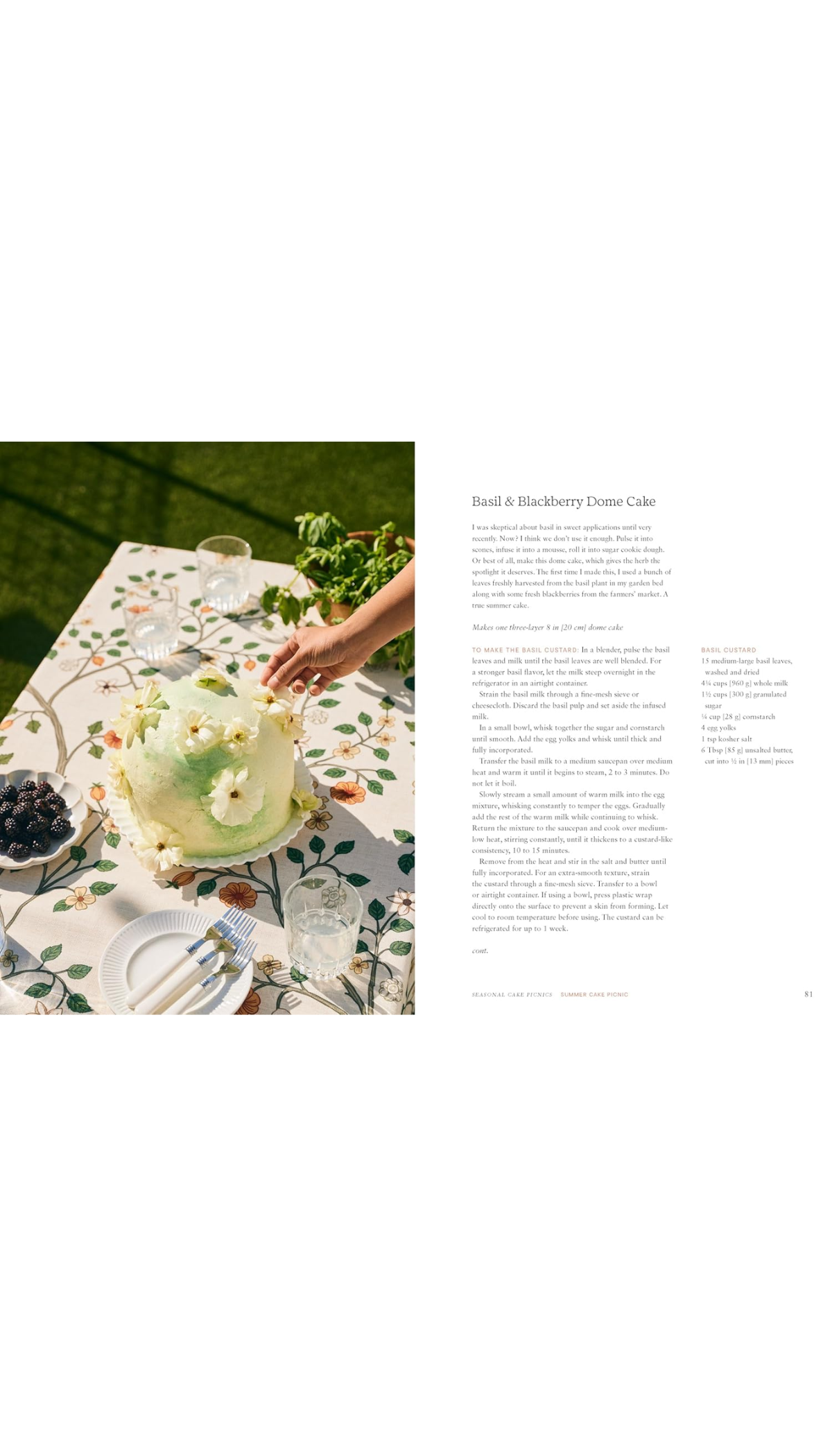 Cake Picnic / COMING MAY 19TH