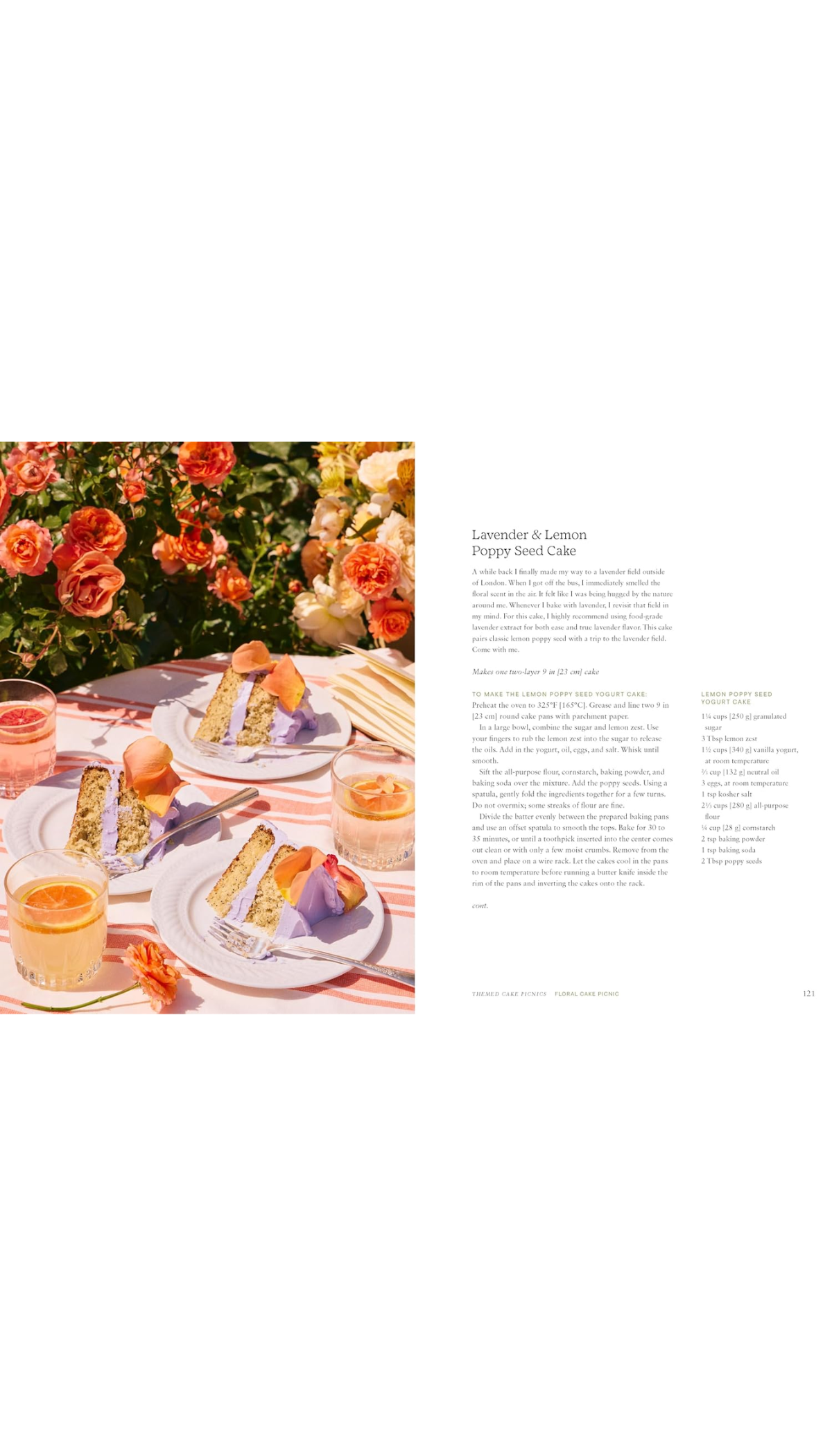 Cake Picnic / COMING MAY 19TH