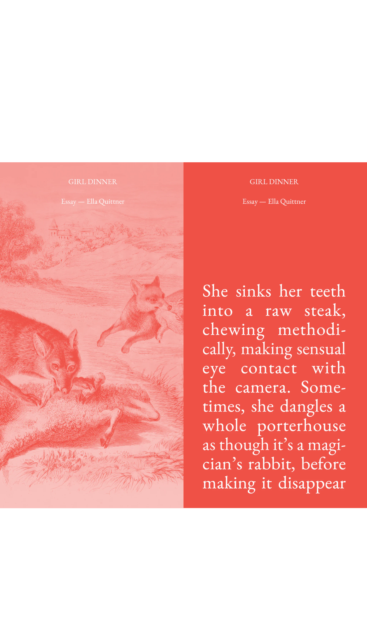 Special Issue: STEAK ZINE / COMING SOON!