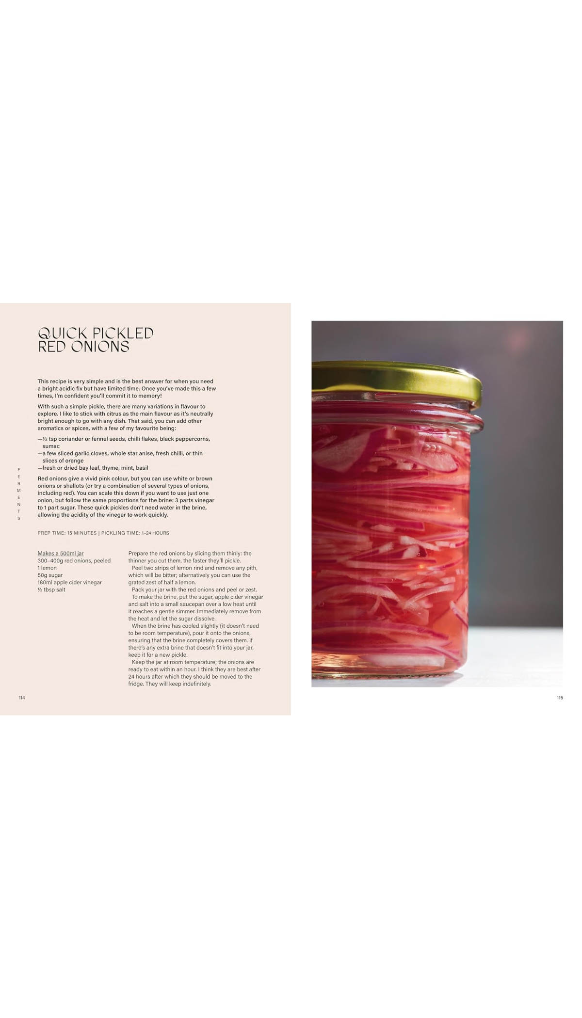 Ferment / COMING JUNE 24TH!