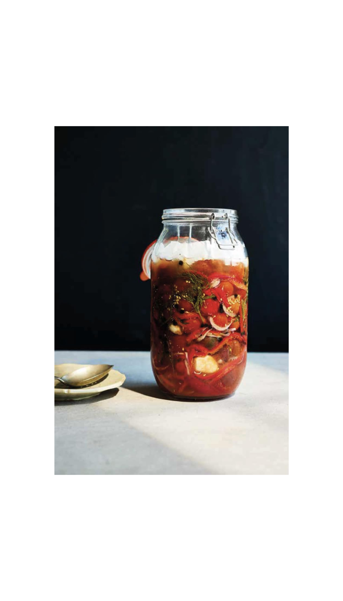 Ferment / COMING JUNE 24TH!