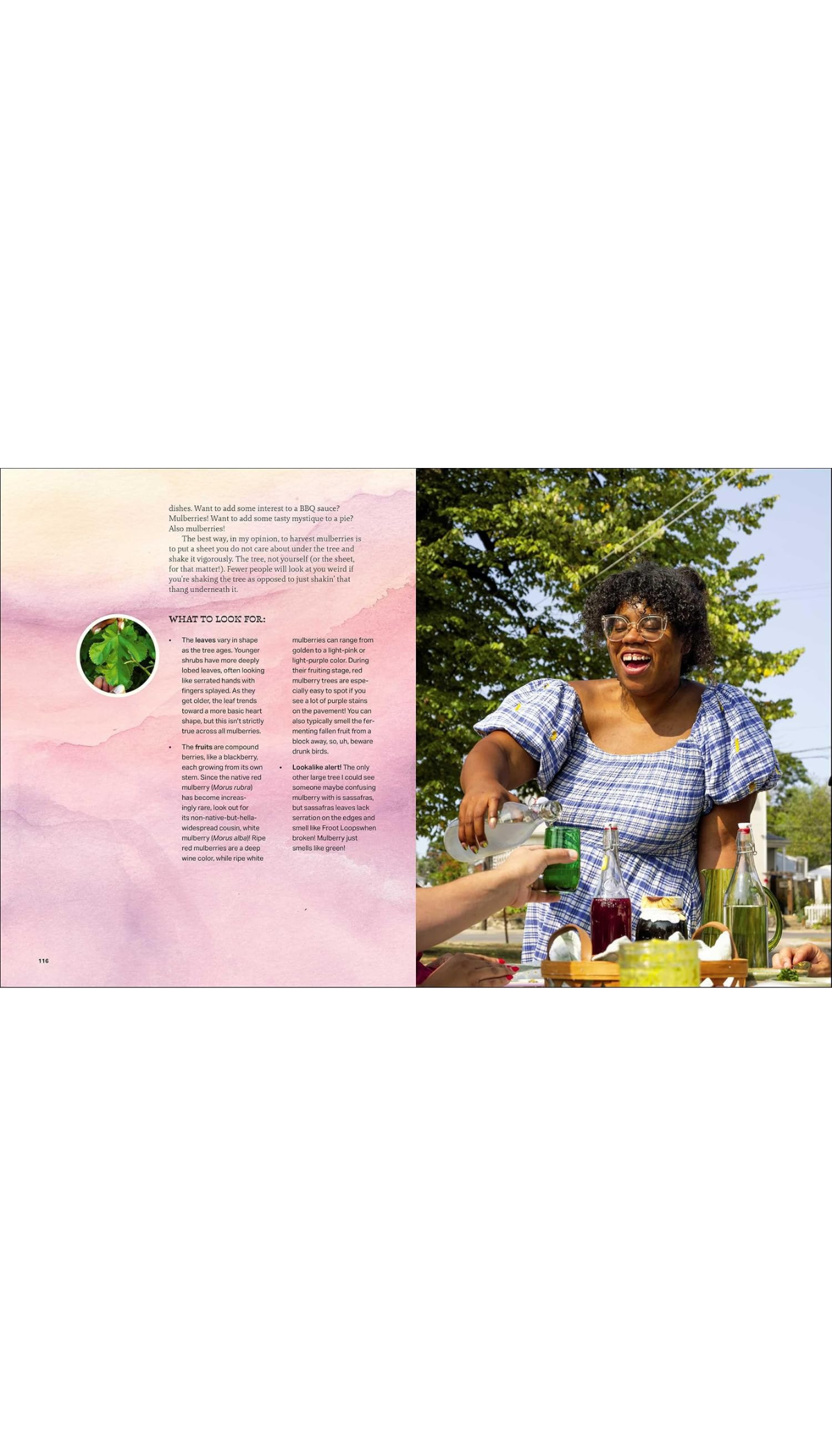 Happy Snacking, Don't Die! / COMING SEP. 22ND!