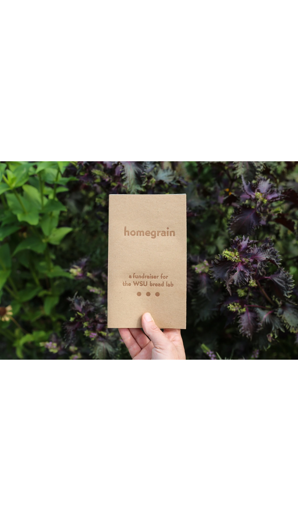 Homegrain: A Fundraiser for the WSU Breadlab