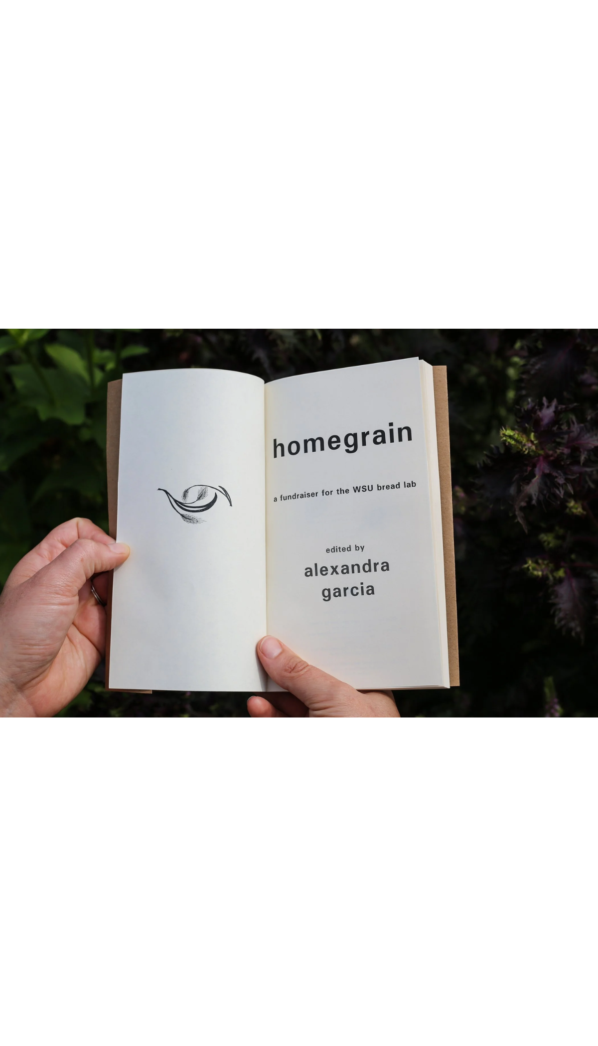 Homegrain: A Fundraiser for the WSU Breadlab