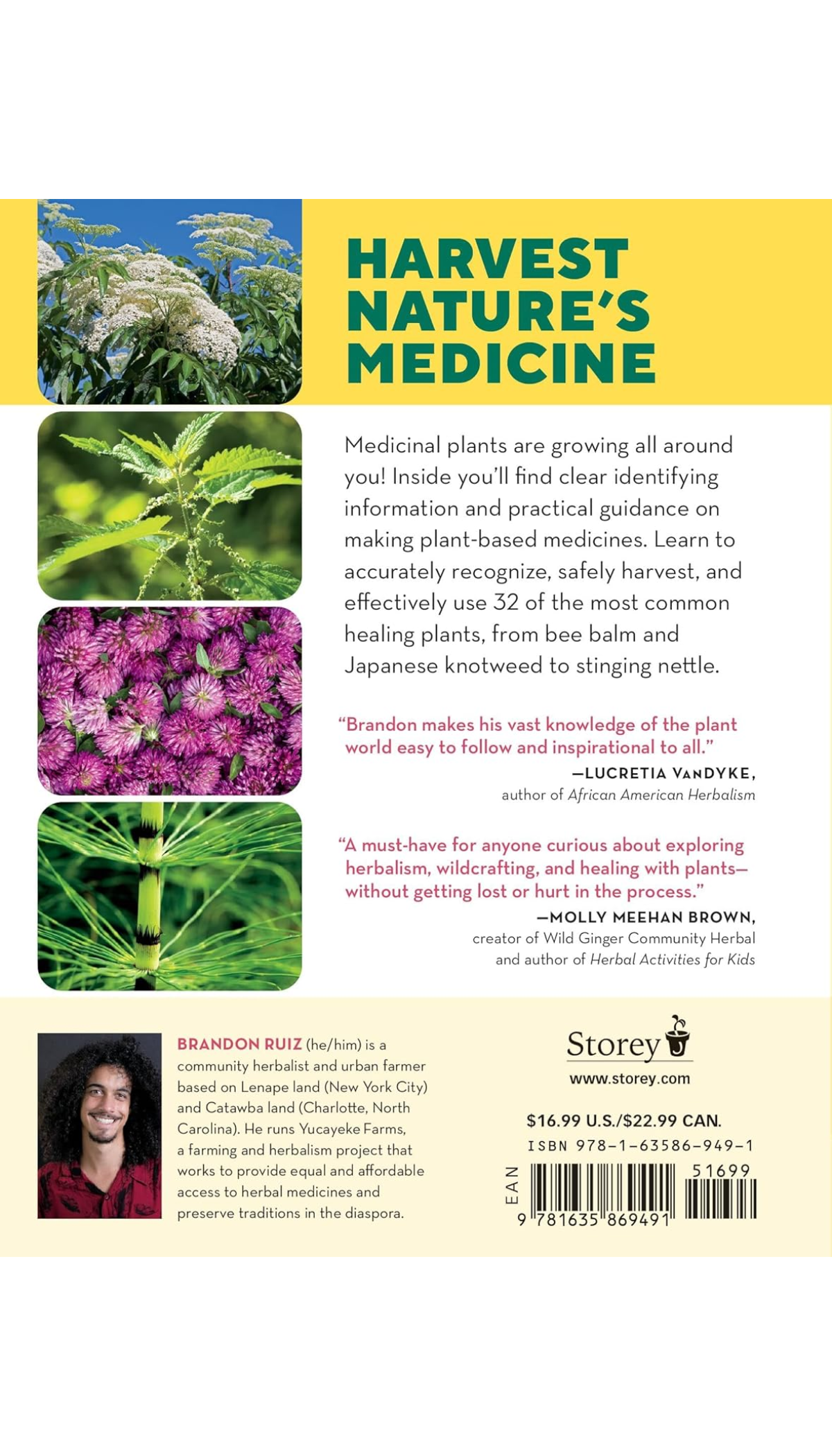 How to Forage for Medicinal Plants without Dying