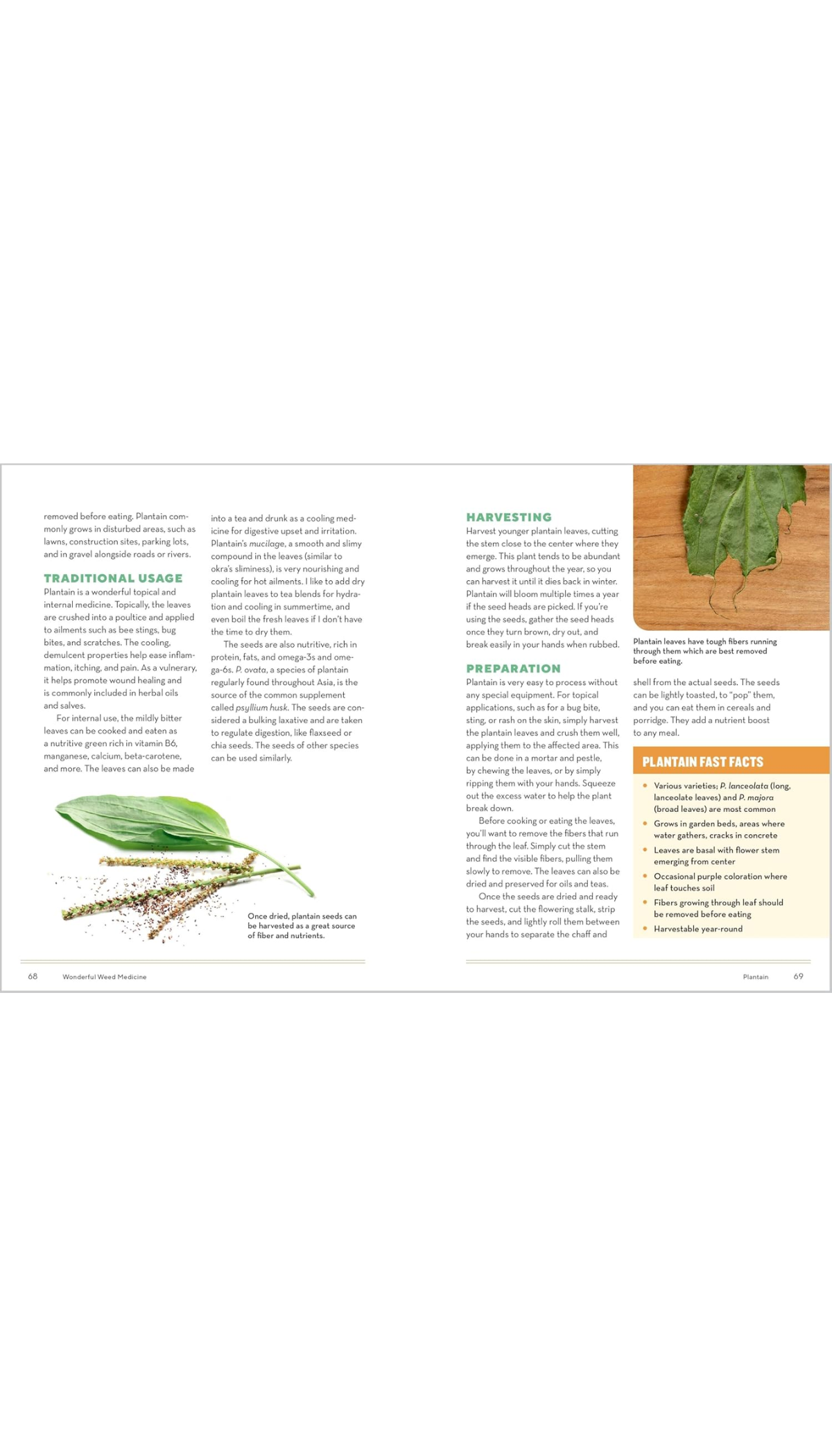 How to Forage for Medicinal Plants without Dying