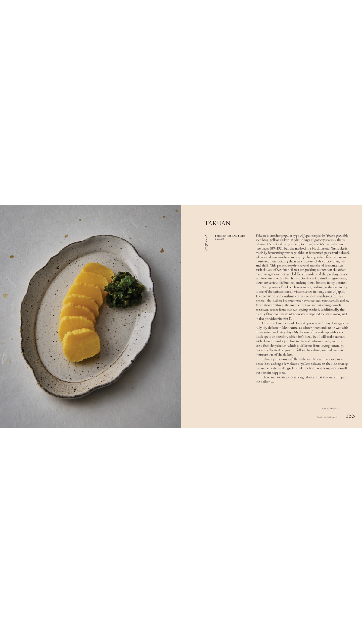 The Japanese Art of Pickling and Fermenting / COMING SEP. 30TH!