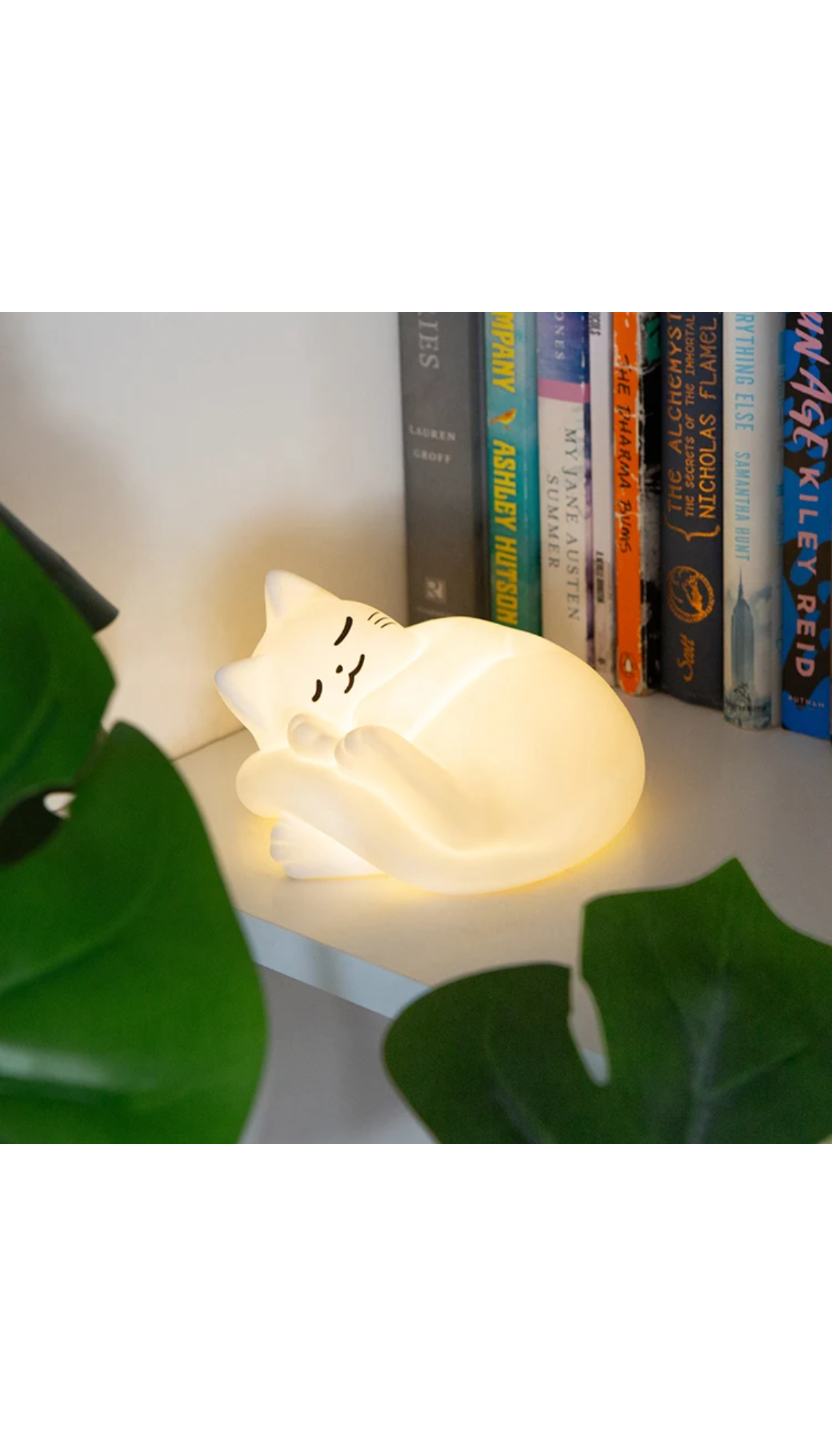 Cozy Cat Light