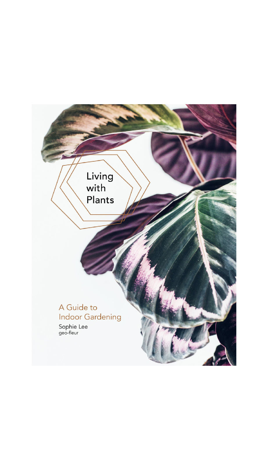 Living With Plants / SOPHIE LEE