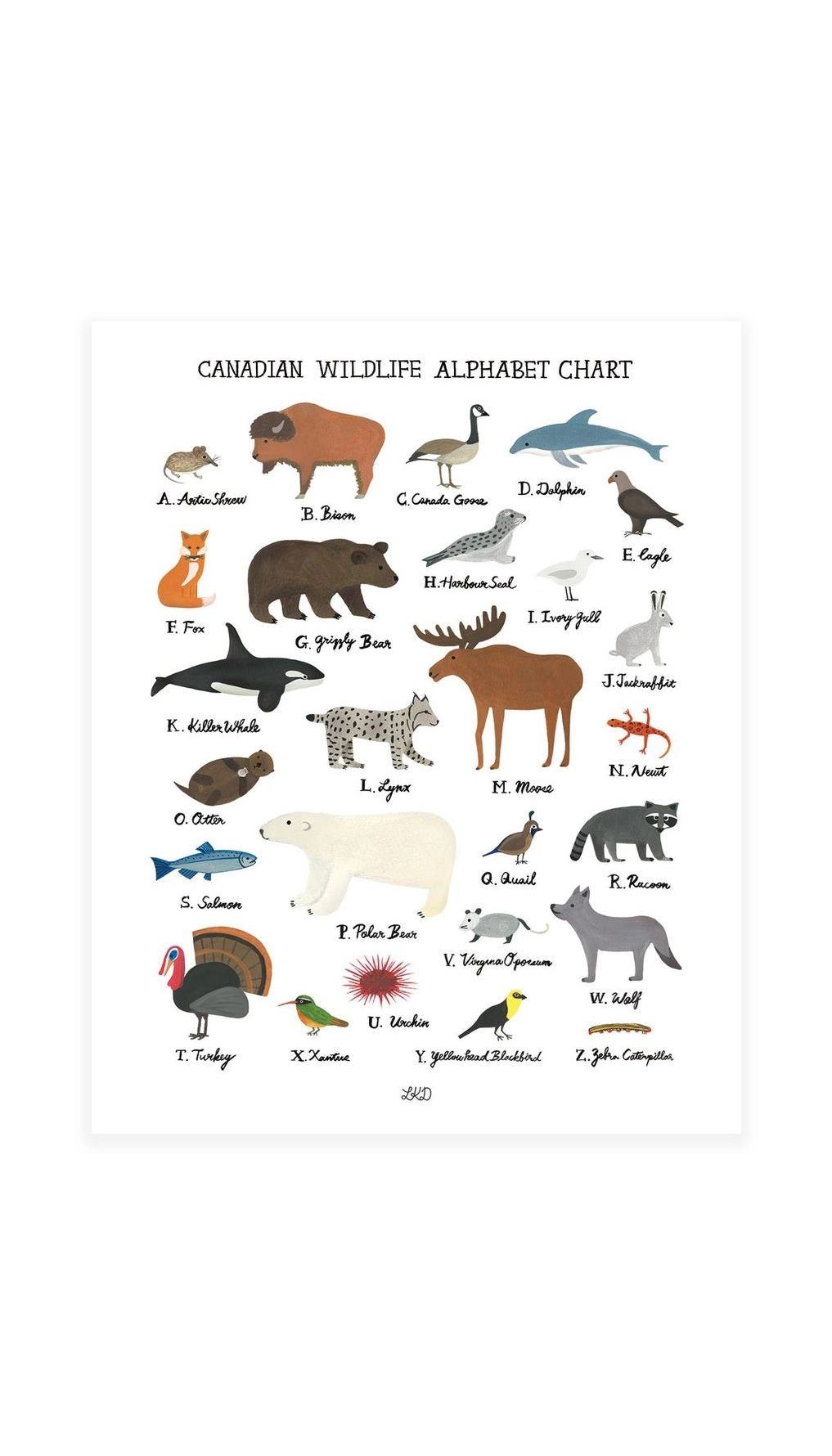 Canadian Wildlife Alphabet Chart