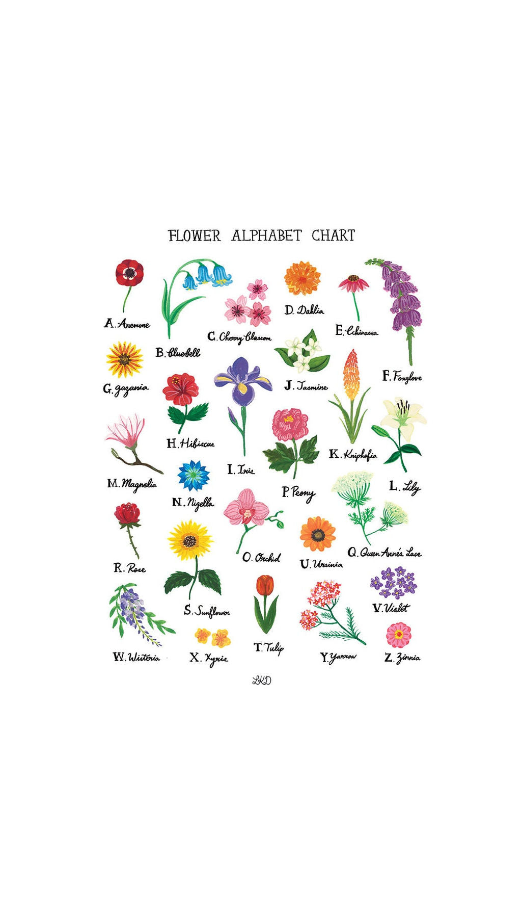 Flower Alphabet Chart