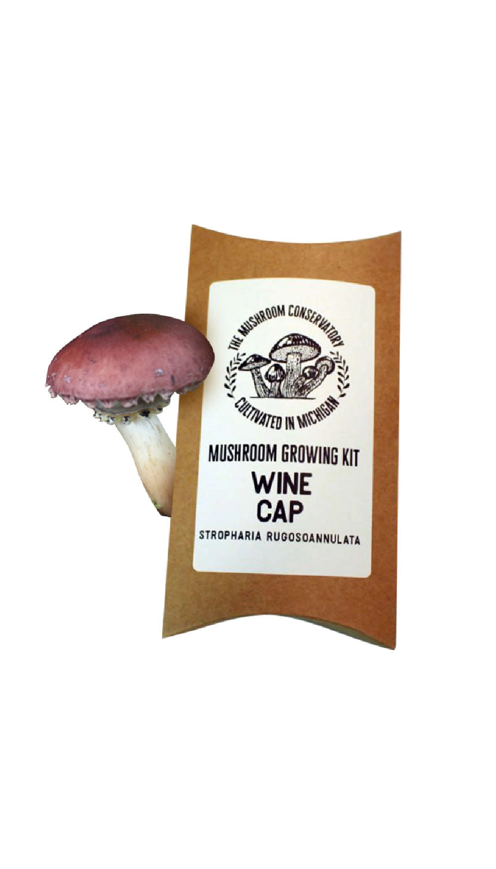 The Mushroom Conservatory Mushroom Growing Kits