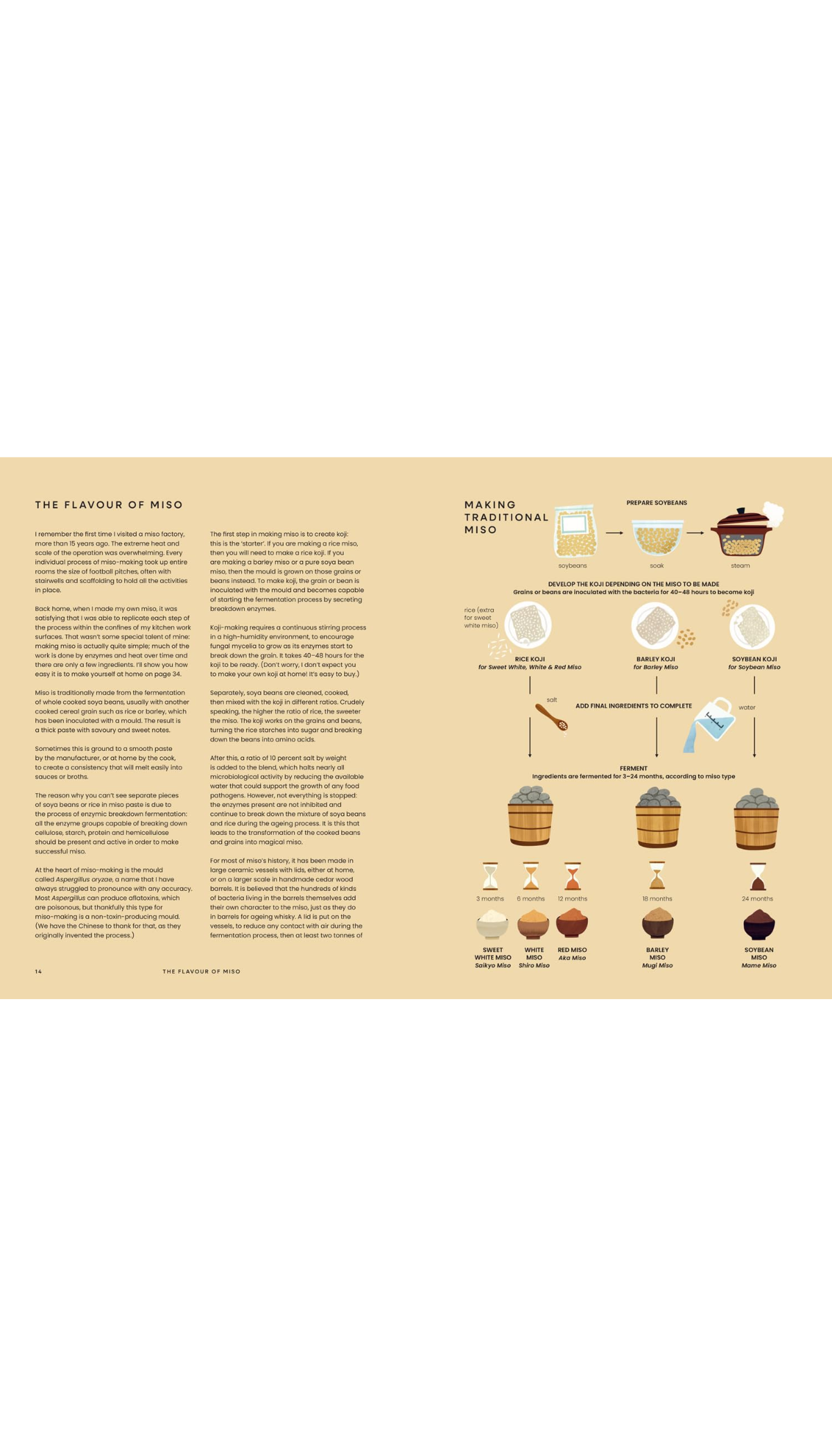 Miso / COMING JAN. 15TH!