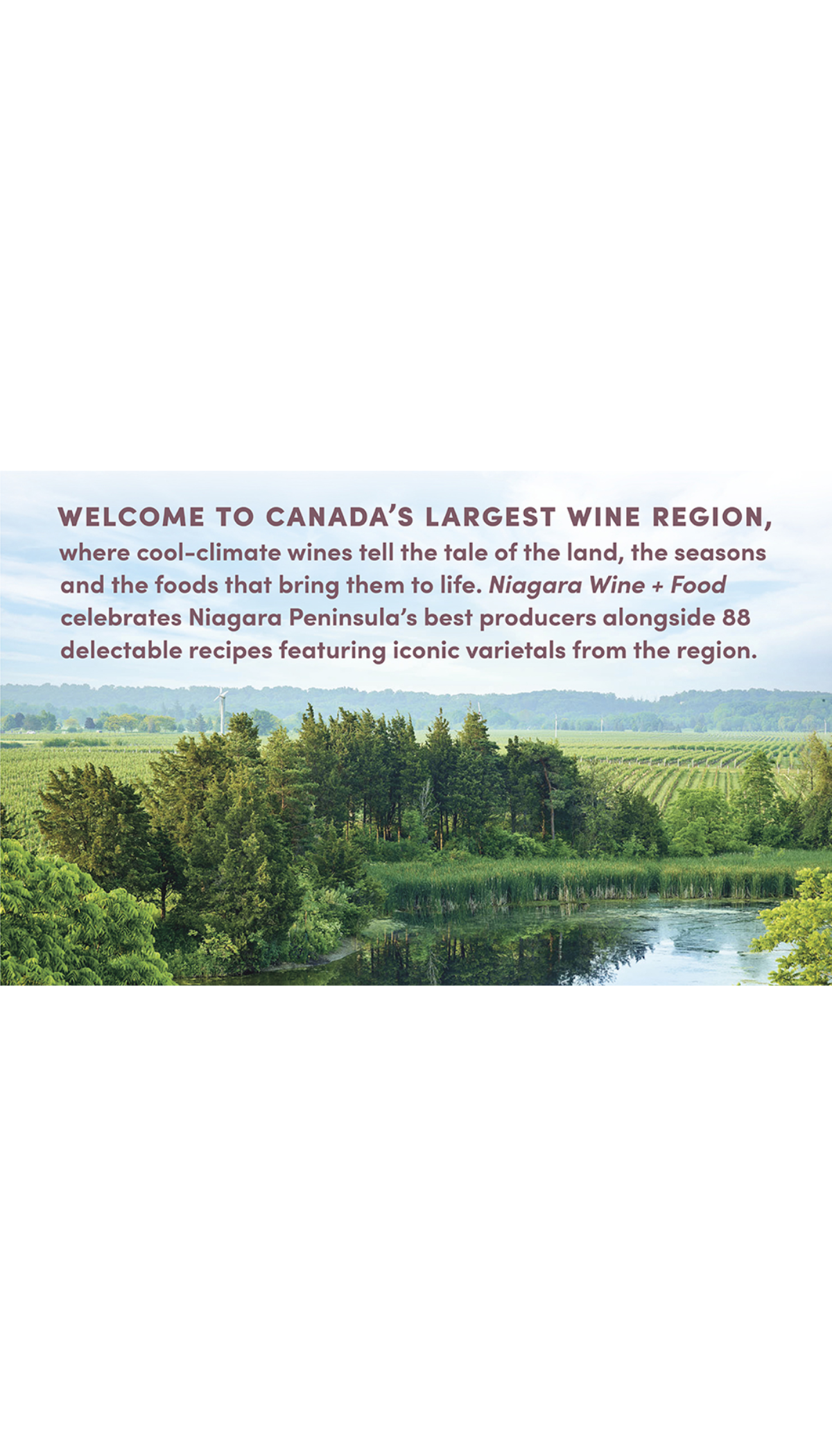 Niagara Wine + Food