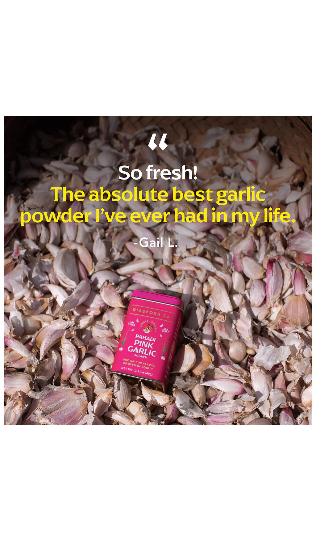 Pahadi Pink Garlic