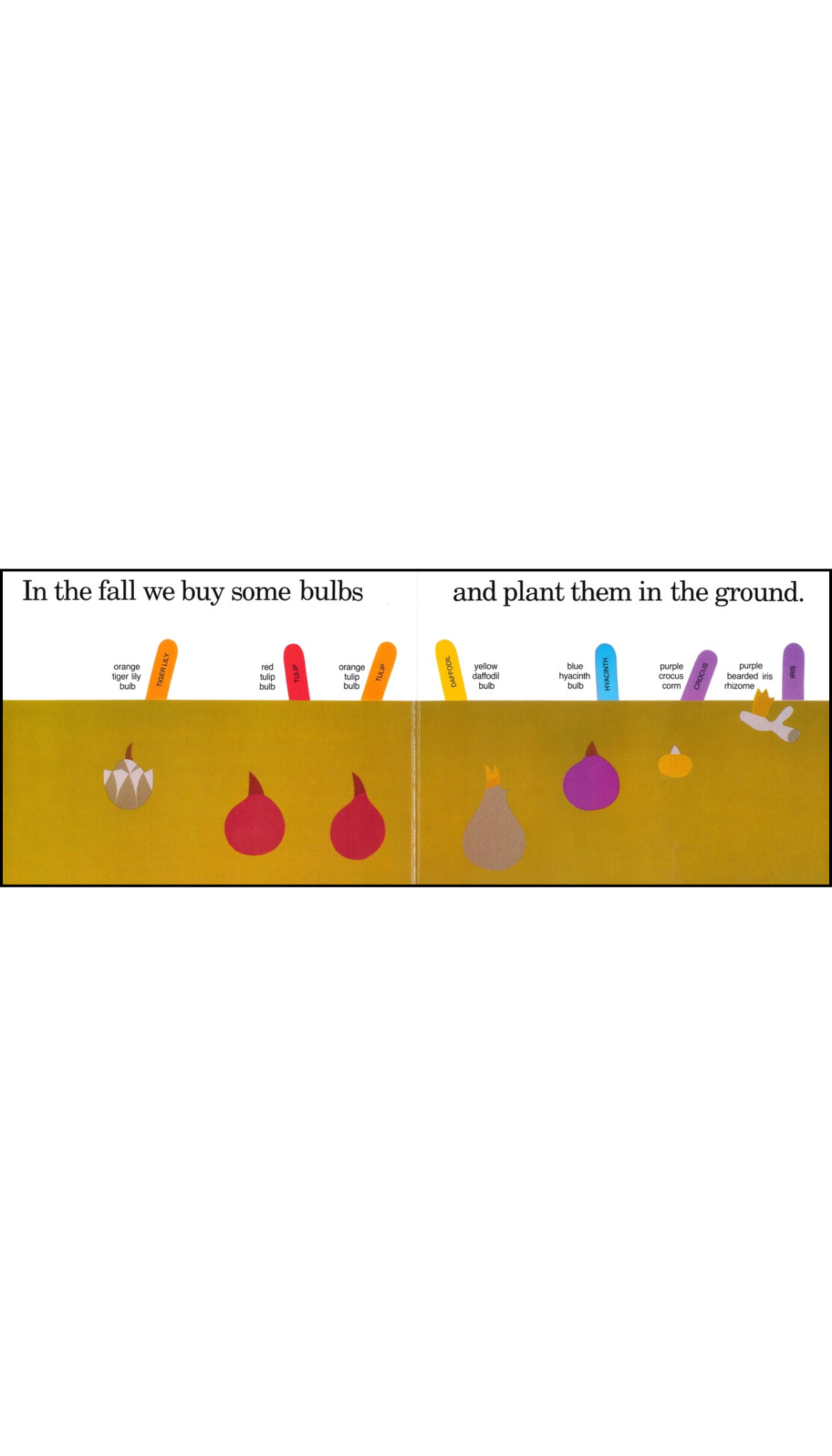Planting a Rainbow