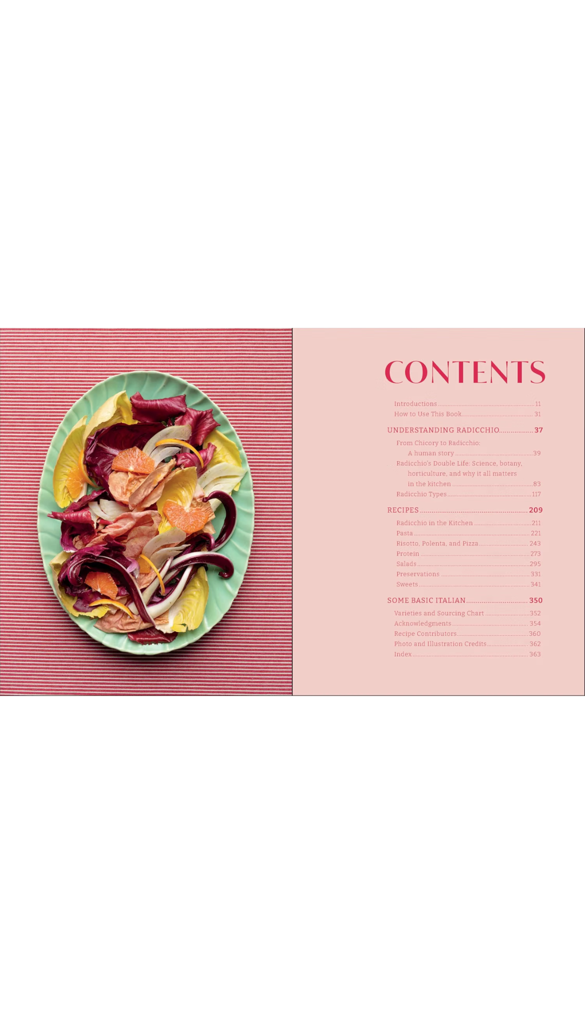 Radicchio / COMING SEP. 29TH!