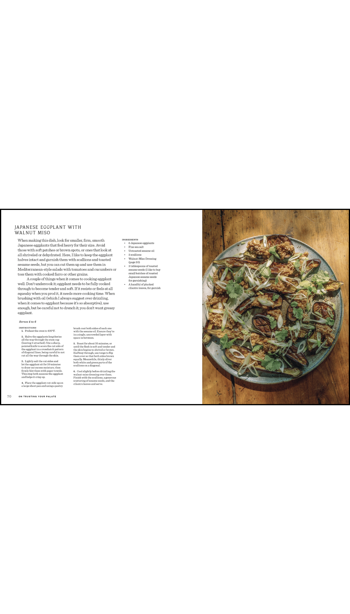 Salad, Always / COMING APR. 6TH!