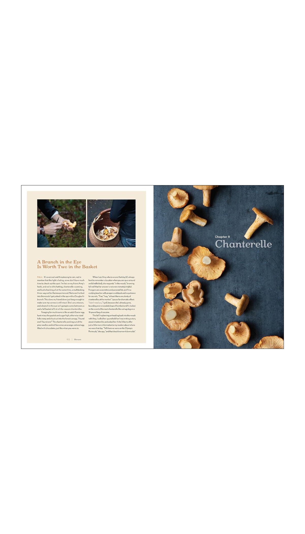 Shroom: Mind-bendingly Good Recipes for Cultivated and Wild Mushrooms