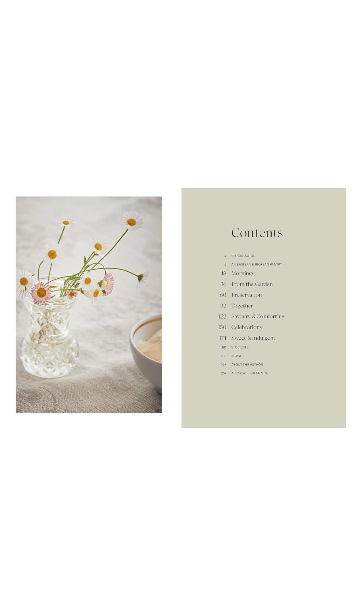 Sour Cherries and Sunflowers