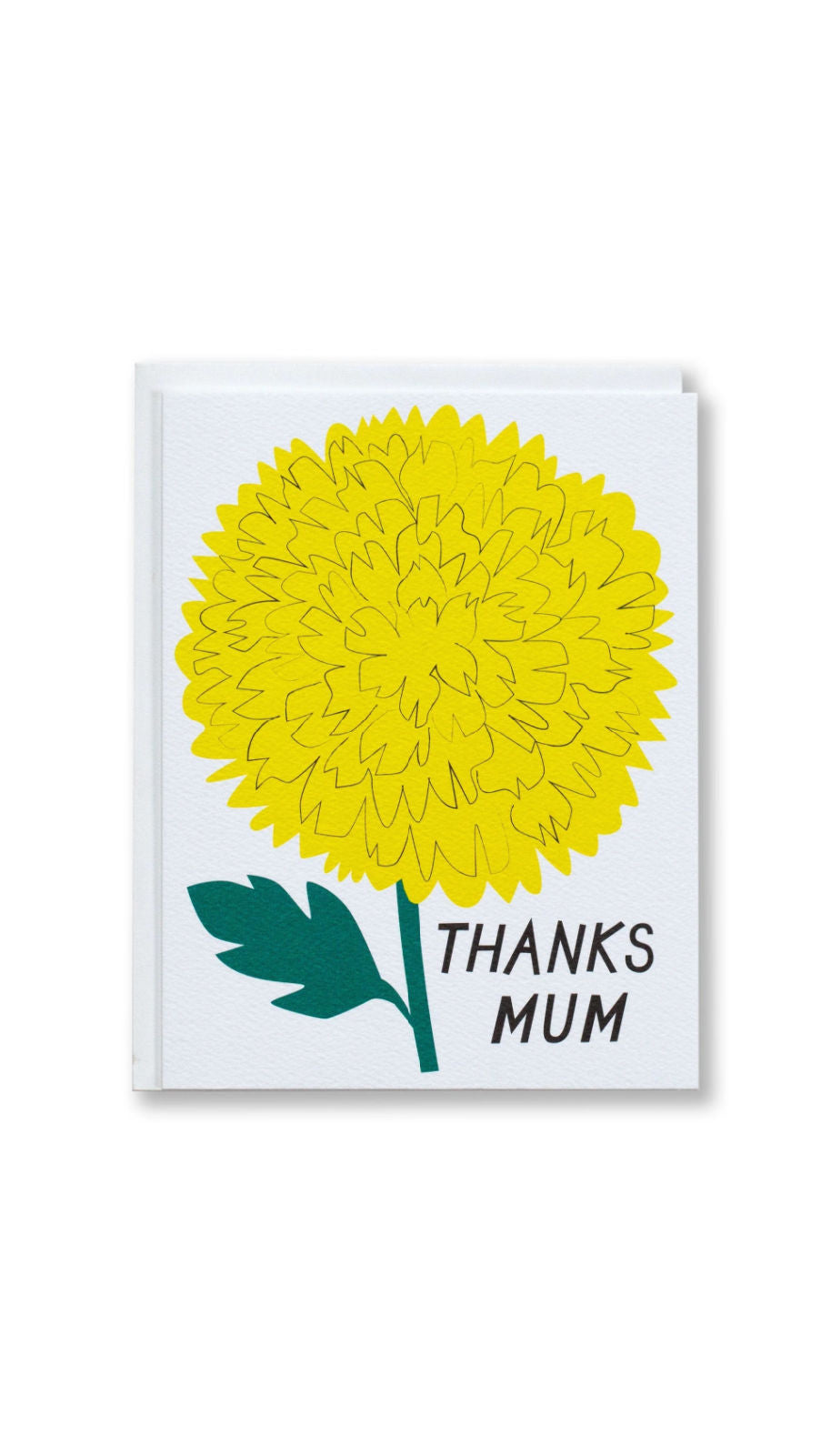 Thanks Mum (Chrysanthemum)