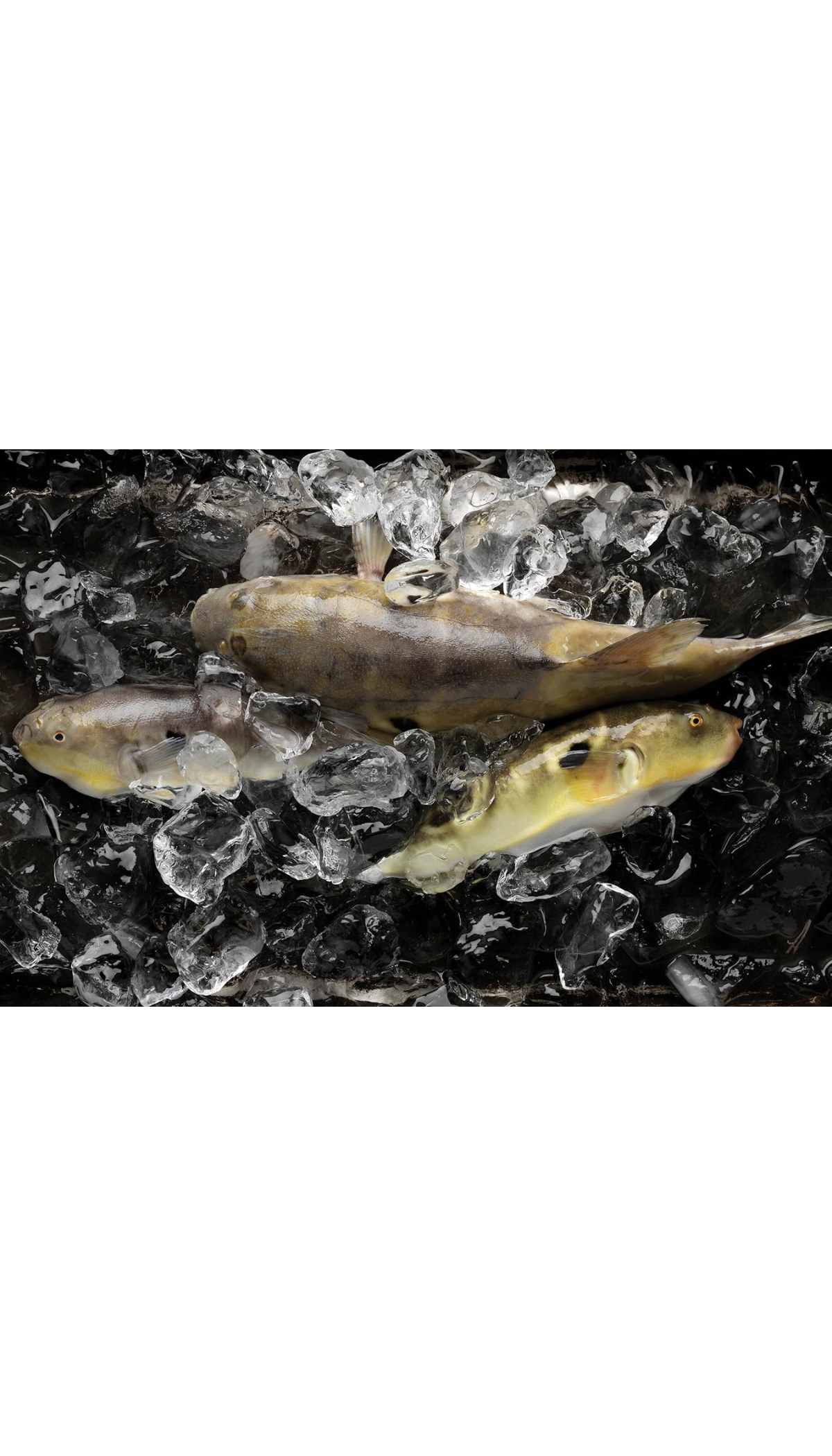 The Art of Korean Cooking / COMING APR. 14TH