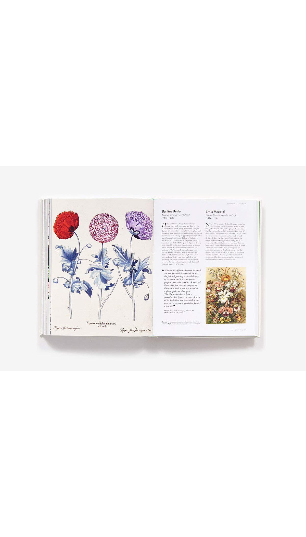 The Botanical Bible