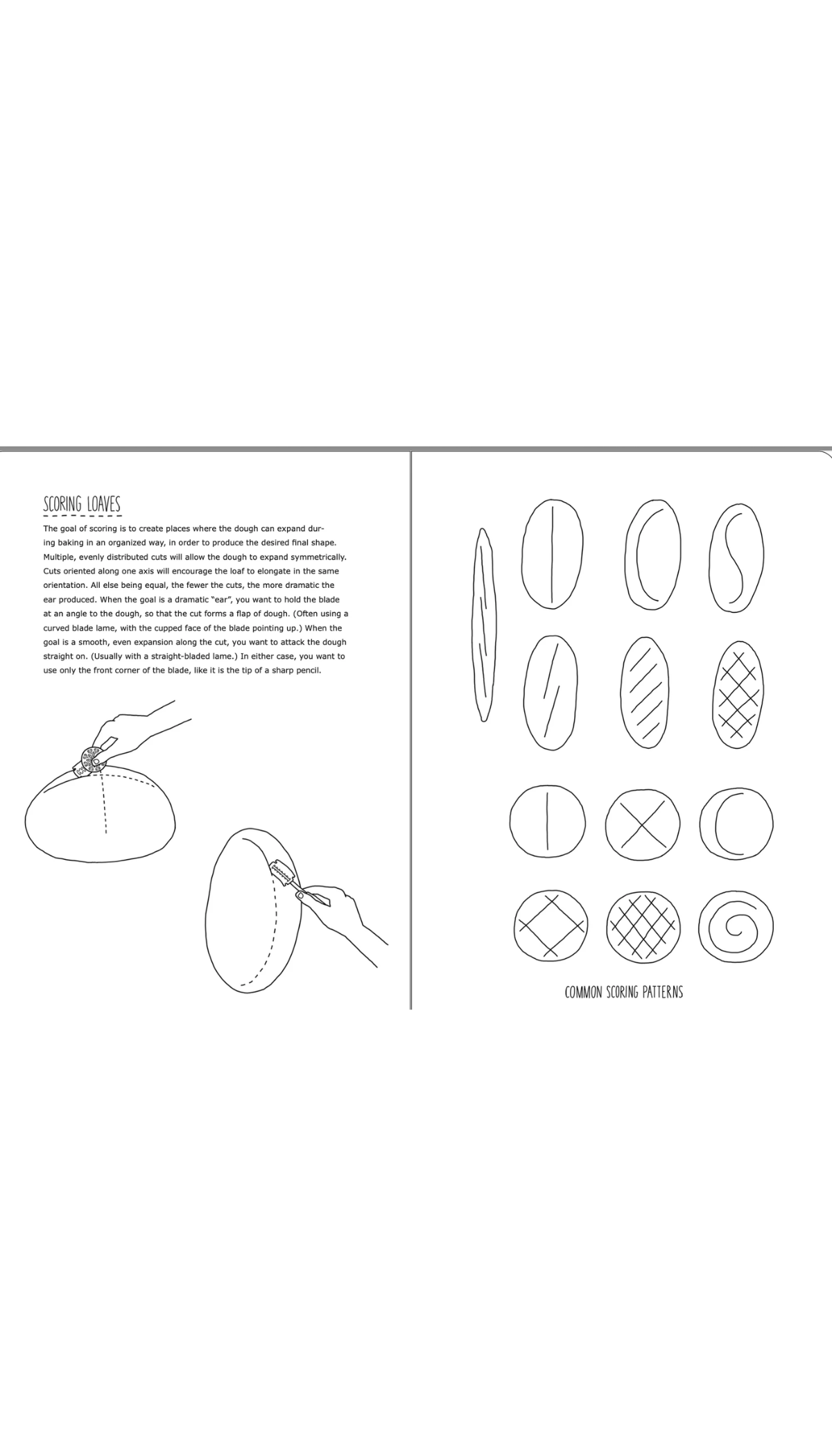 The Bread Baker's Pocket Companion
