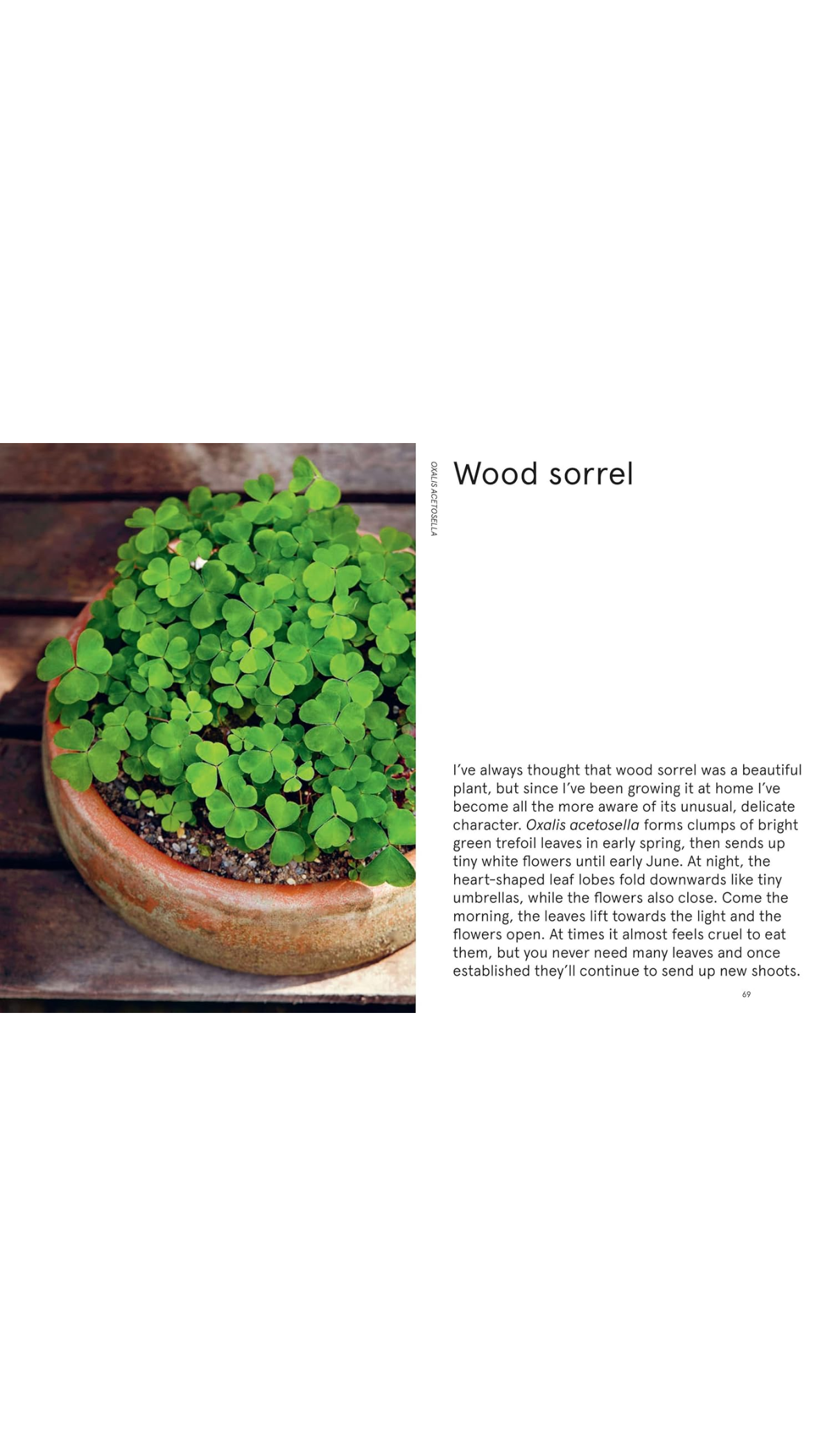 The Flowerpot Forager