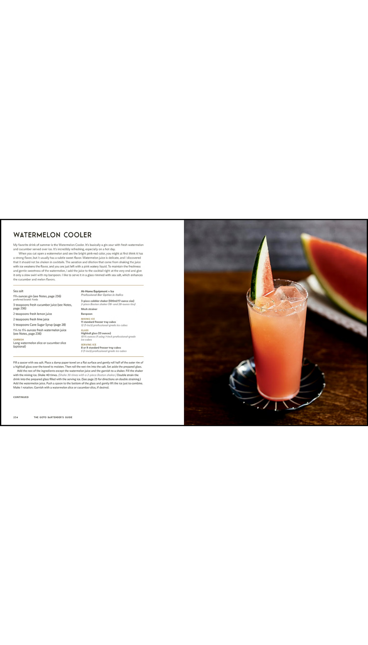 The Goto Bartender's Guide / COMING OCT. 6TH!