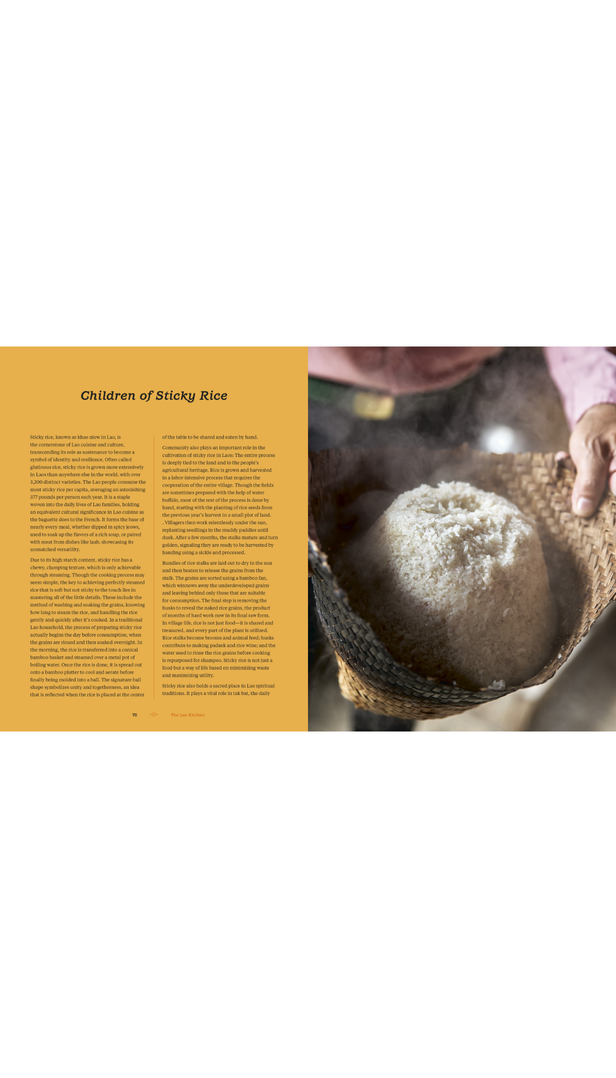 The Lao Kitchen / COMING APR. 21ST!