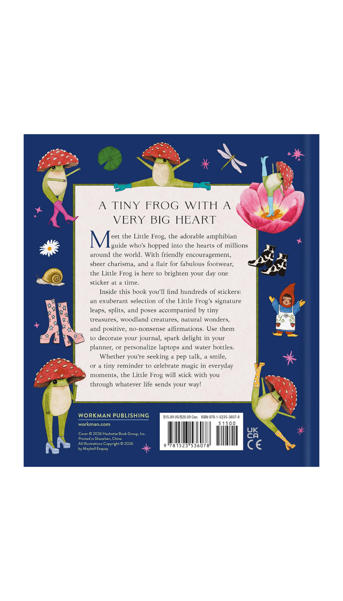 The Little Frog Sticker Book