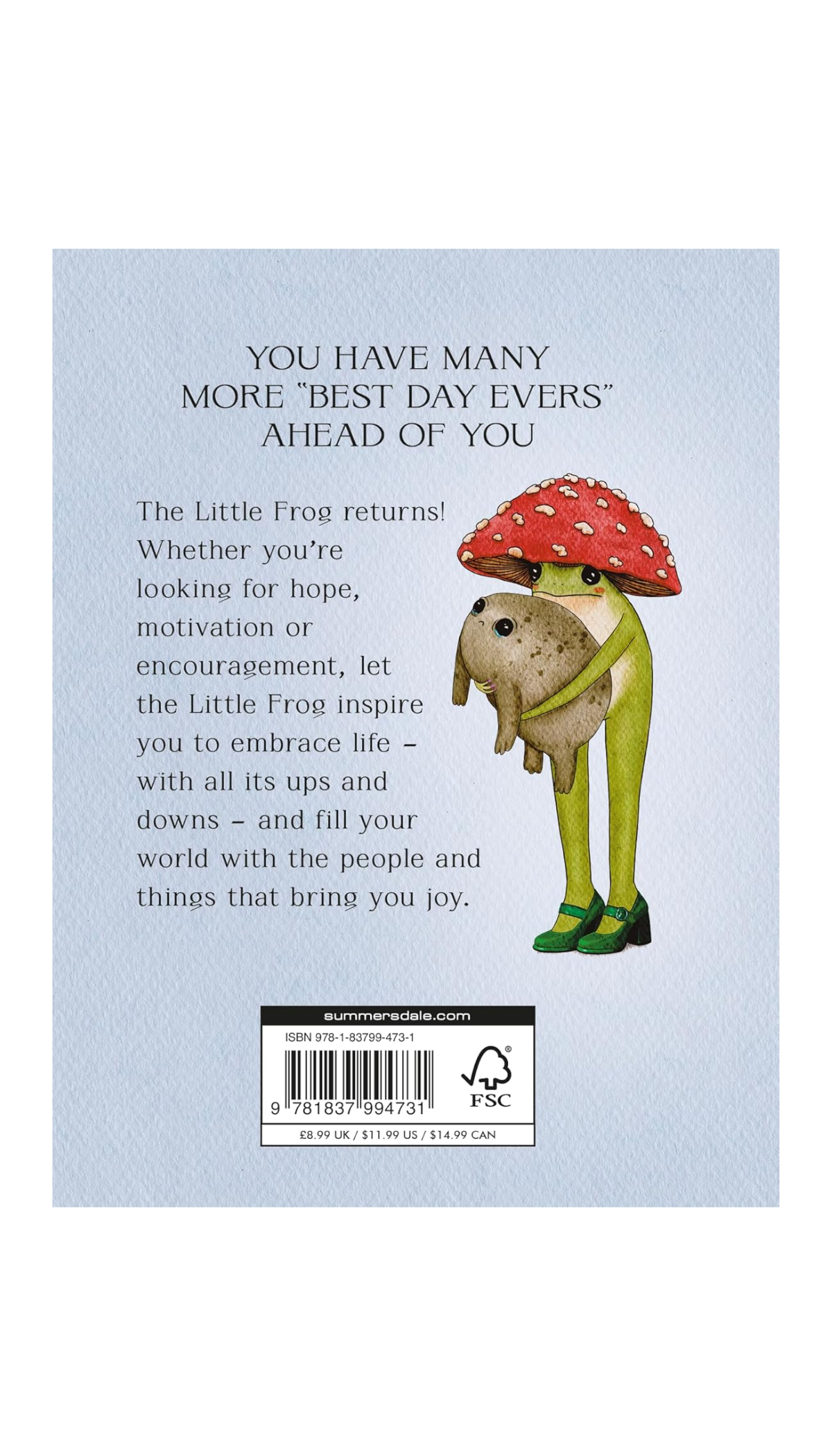 The Little Frog's Guide to Life