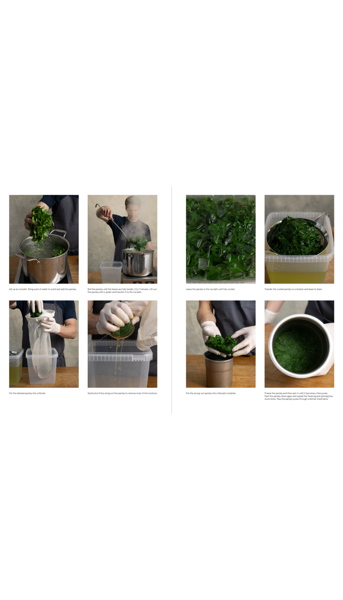 The Noma Guide to Building Flavour / COMING APR. 7TH!