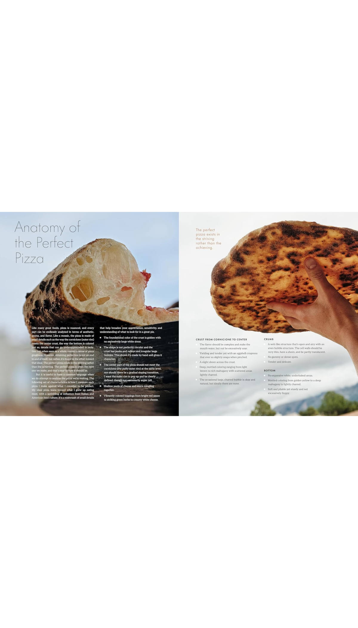 The Perfect Pizza / COMING NOV. 10TH!