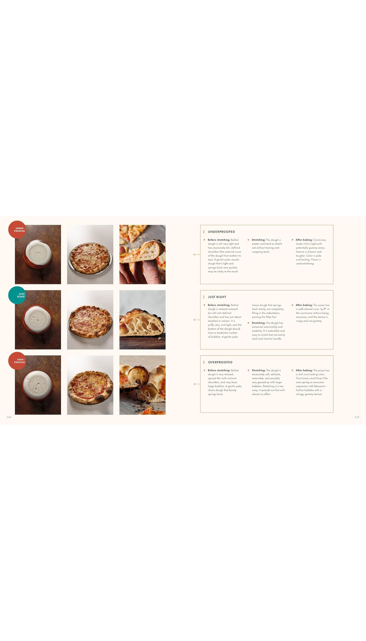 The Perfect Pizza / COMING NOV. 10TH!