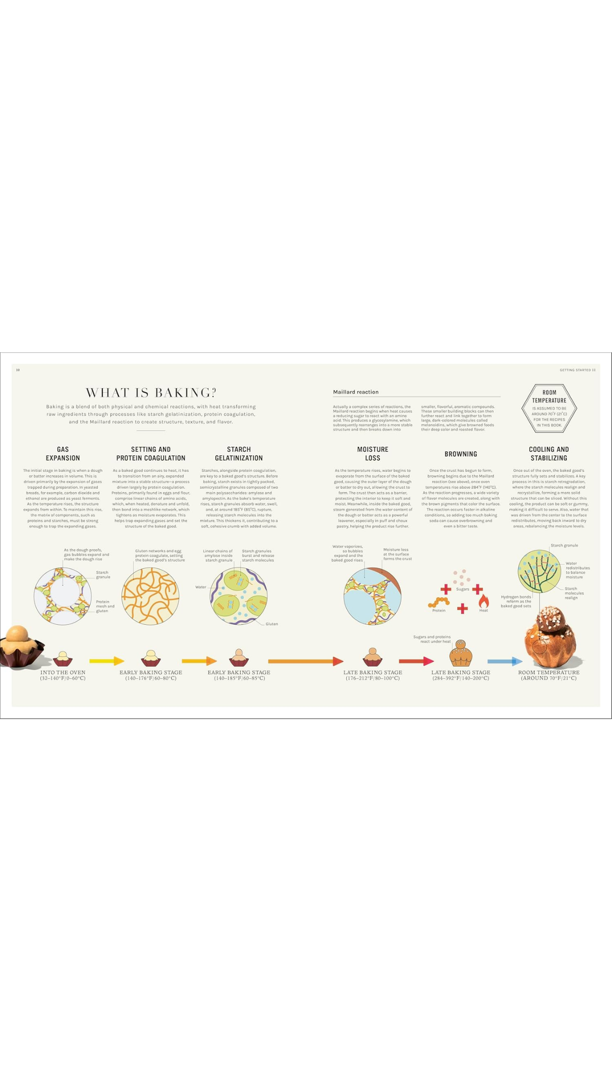 The Science of Baking / COMING APR. 14TH!