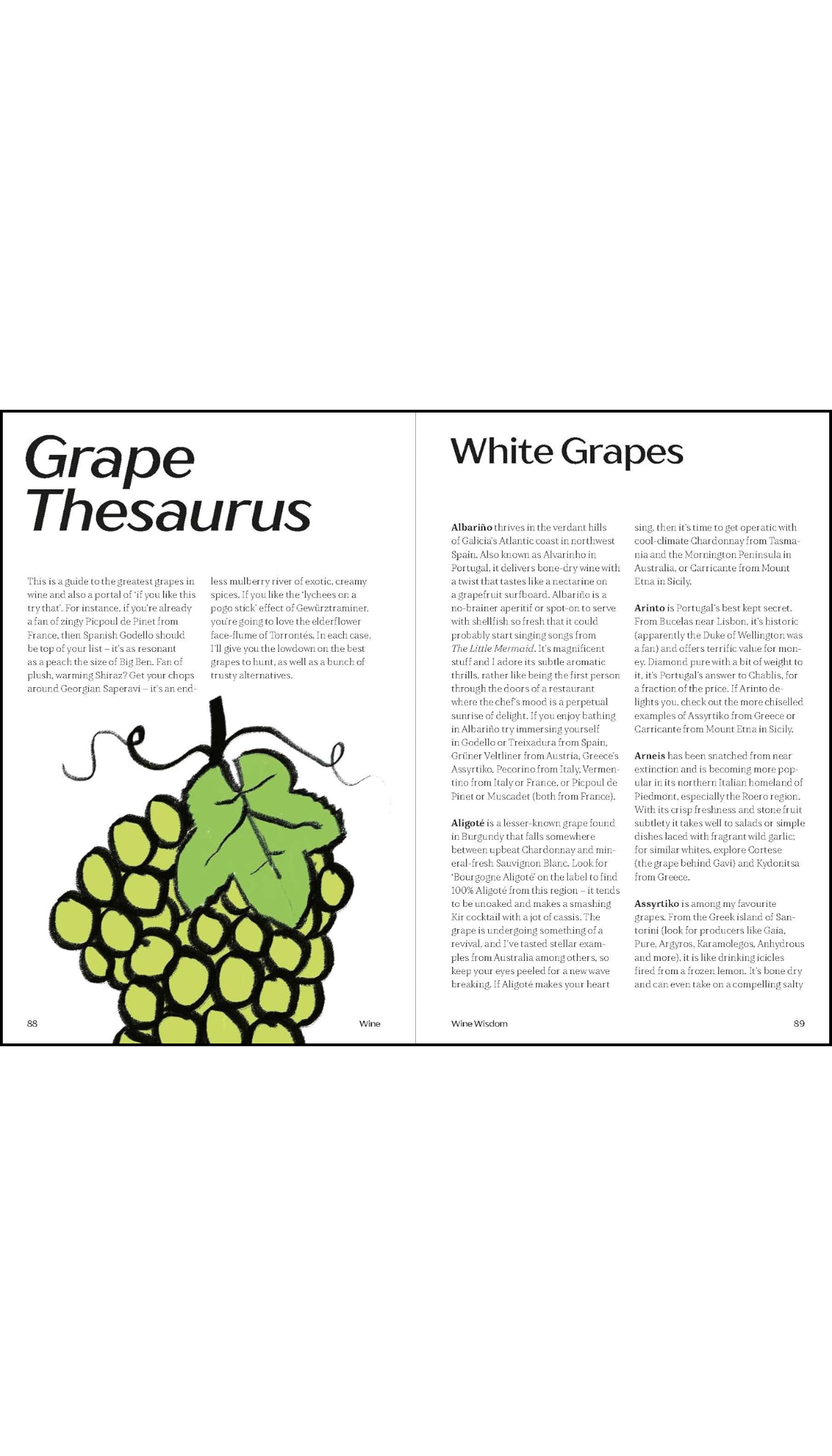 WINE: Everything You Need to Know