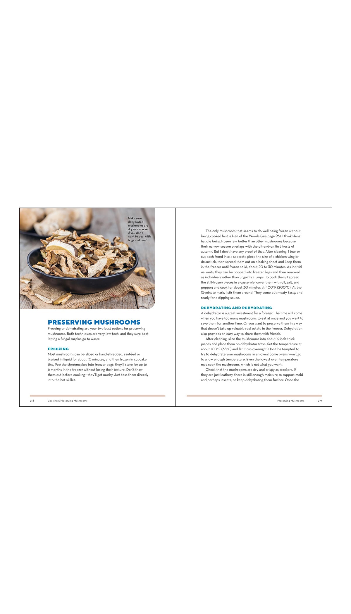 How to Forage for Mushrooms without Dying: An Absolute Beginner's Guide to Identifying 29 Wild, Edible Mushrooms