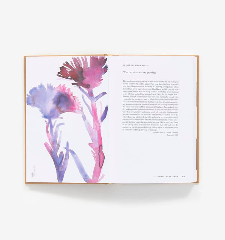 American Wildflowers: A Literary Field Guide / SUSAN BARBA & LEANNE SHAPTON (ILLUS.)